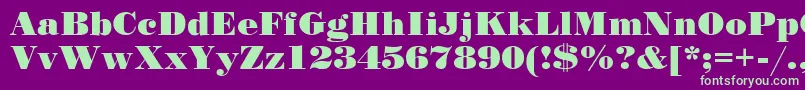 Stand12 Font – Green Fonts on Purple Background