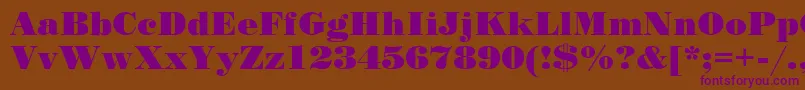 Stand12 Font – Purple Fonts on Brown Background