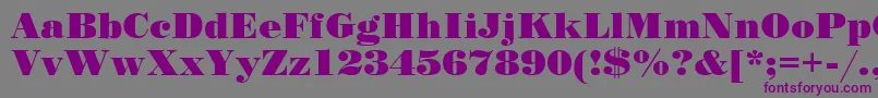 Stand12 Font – Purple Fonts on Gray Background
