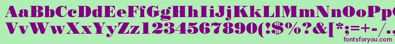 Stand12-Schriftart – Violette Schriften auf grünem Hintergrund