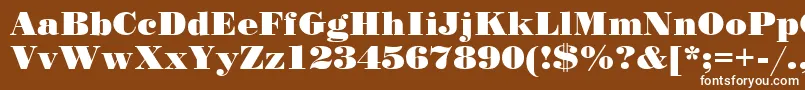 Stand12 Font – White Fonts on Brown Background