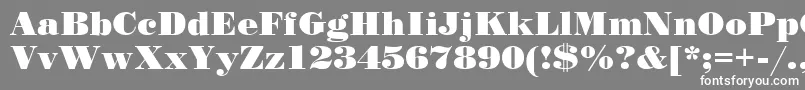 フォントStand12 – 灰色の背景に白い文字