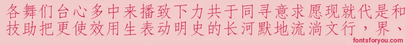 フォントDffangsong1bGb – ピンクの背景に赤い文字