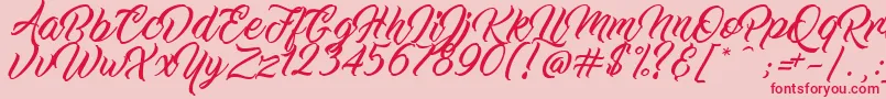 フォントWorkInProgress – ピンクの背景に赤い文字