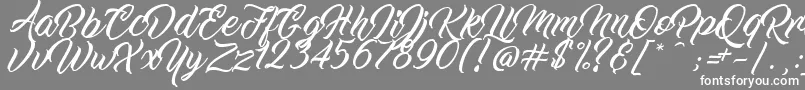 WorkInProgress-fontti – valkoiset fontit harmaalla taustalla