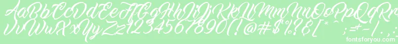 WorkInProgress Font – White Fonts on Green Background