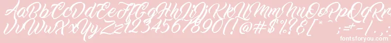フォントWorkInProgress – ピンクの背景に白い文字