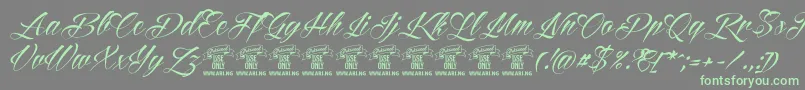 fuente ReditumPersonaluseonly – Fuentes Verdes Sobre Fondo Gris