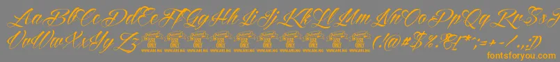ReditumPersonaluseonly Font – Orange Fonts on Gray Background