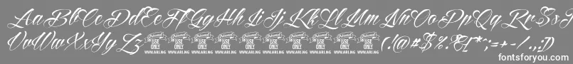 ReditumPersonaluseonly Font – White Fonts on Gray Background