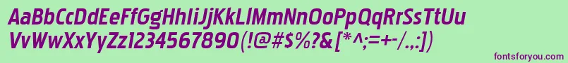 PakenhamrgBolditalic Font – Purple Fonts on Green Background