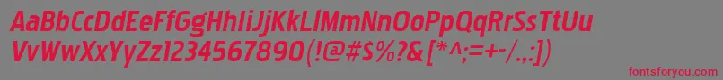 PakenhamrgBolditalic Font – Red Fonts on Gray Background