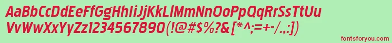 PakenhamrgBolditalic Font – Red Fonts on Green Background