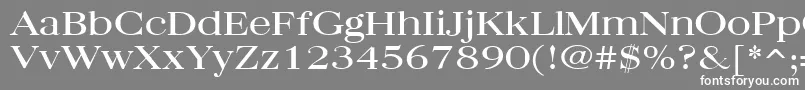 QuantasBroadRegular Font – White Fonts on Gray Background