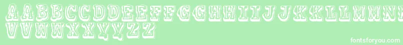 Vtkscolagem Font – White Fonts on Green Background