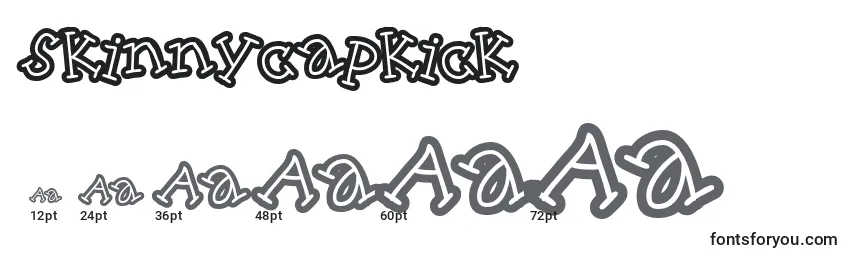Размеры шрифта Skinnycapkick