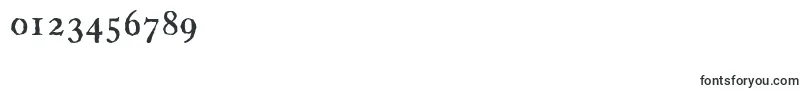 CasablancaantiqueRegular-Schriftart – Schriften für Zahlen und Nummern