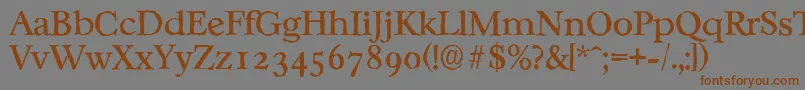 CasablancaantiqueRegular Font – Brown Fonts on Gray Background