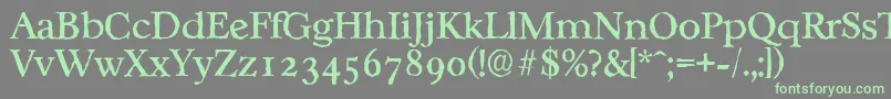 CasablancaantiqueRegular Font – Green Fonts on Gray Background