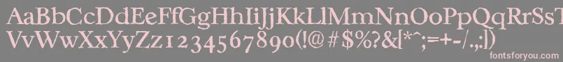 CasablancaantiqueRegular Font – Pink Fonts on Gray Background
