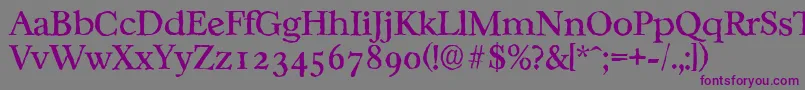 CasablancaantiqueRegular Font – Purple Fonts on Gray Background