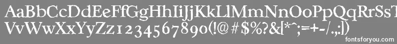 CasablancaantiqueRegular Font – White Fonts on Gray Background