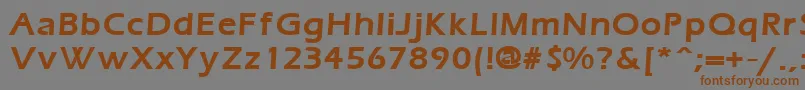 フォントErgoemildBold – 茶色の文字が灰色の背景にあります。