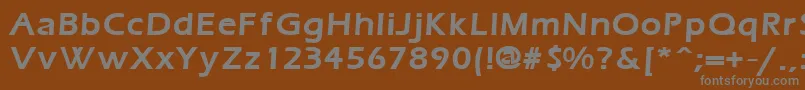 フォントErgoemildBold – 茶色の背景に灰色の文字