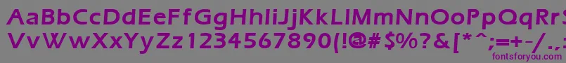 ErgoemildBold-Schriftart – Violette Schriften auf grauem Hintergrund