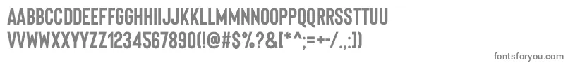 フォントBisonBoldpersonaluse – 白い背景に灰色の文字