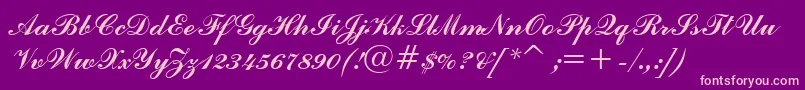 CommercialScriptBt Font – Pink Fonts on Purple Background