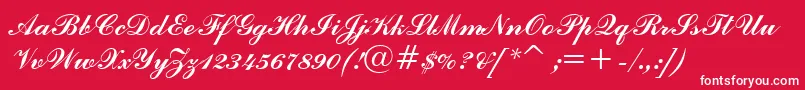フォントCommercialScriptBt – 赤い背景に白い文字