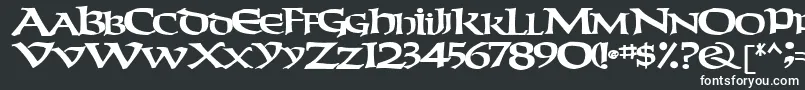 フォントWeekendertype123Bold – 白い文字