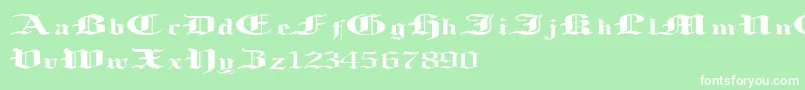 LoosingMemory Font – White Fonts on Green Background