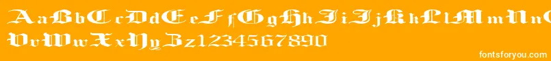 LoosingMemory Font – White Fonts on Orange Background
