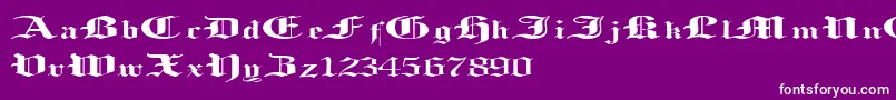 LoosingMemory Font – White Fonts on Purple Background