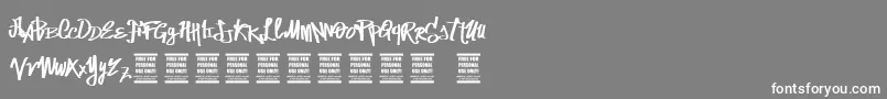 VtksStreetVision Font – White Fonts on Gray Background