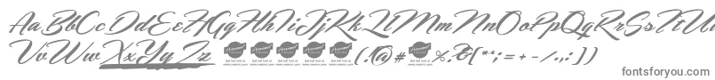 HemmetPersonalUseOnly Font – Gray Fonts on White Background
