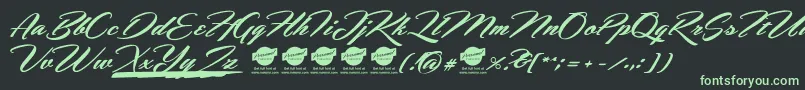 Fonte HemmetPersonalUseOnly – fontes verdes em um fundo preto