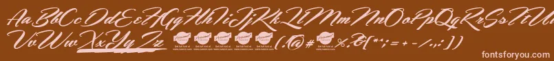 HemmetPersonalUseOnly Font – Pink Fonts on Brown Background