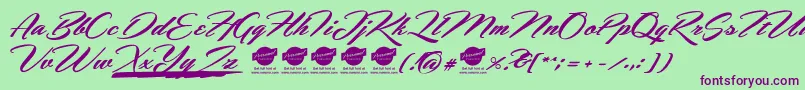 HemmetPersonalUseOnly Font – Purple Fonts on Green Background