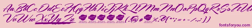 HemmetPersonalUseOnly Font – Purple Fonts on Pink Background