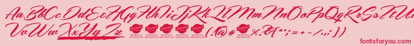 More about HemmetPersonalUseOnly Font HemmetPersonalUseOnly Font – Red Fonts on Pink Background