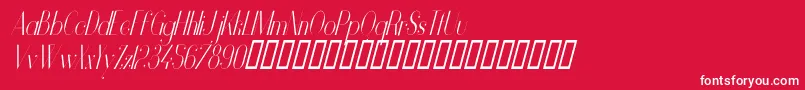 VanityLightNarrowItalic Font – White Fonts on Red Background