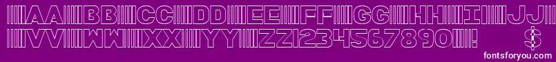 BamfOutline Font – White Fonts on Purple Background