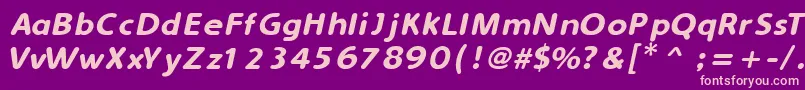 SimplyRoundedItalic Font – Pink Fonts on Purple Background