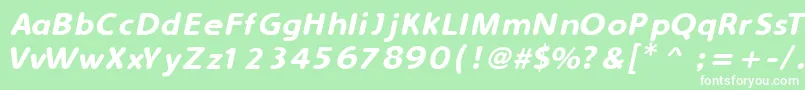 SimplyRoundedItalic Font – White Fonts on Green Background