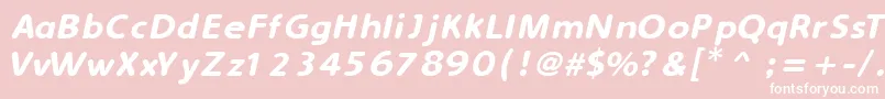 SimplyRoundedItalic Font – White Fonts on Pink Background