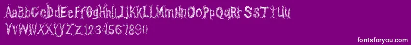 CfonetwotreesRegular Font – White Fonts on Purple Background