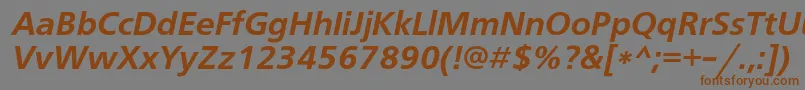Шрифт FreesetdemicItalic – коричневые шрифты на сером фоне